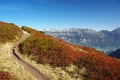 7 Gipfel Wanderung Flumserberg 'Chli Gueslen - Cuncels 1935m' (1)